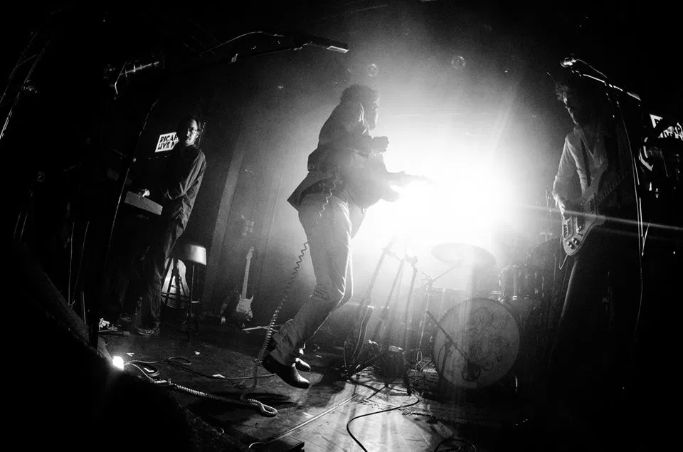 virginie brune coach