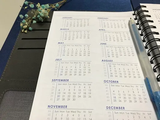 bonne-periode-sortir-musique