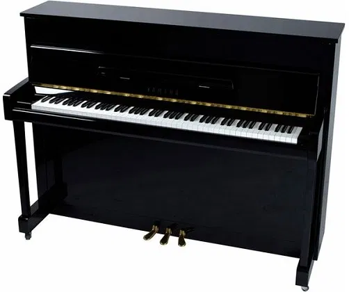 Yamaha-b2-PE